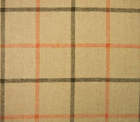 TARTUFO 2447